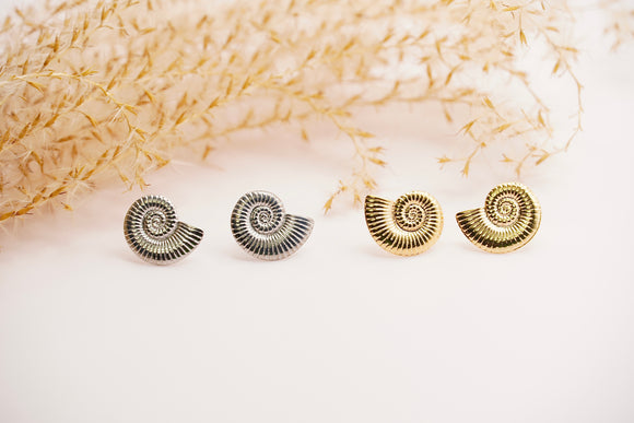 Seashell Earrings Studs