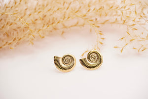 Seashell Earrings Studs