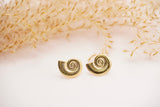 Seashell Earrings Studs